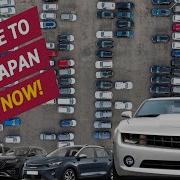 Janda Japan