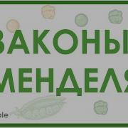 Биология Каменский 10 Класс Базовый