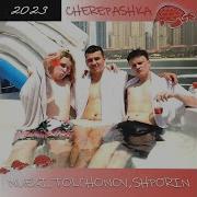 Cherepashka Speed Up