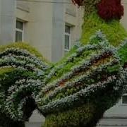 Добрый Утра Всем Ас Салам Алейкум