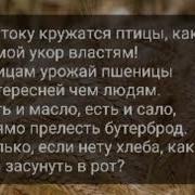 Слова Из Песни Ой Блин Батон Веточка Смородины