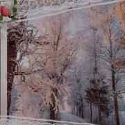 Ш Жураев Янги Йил