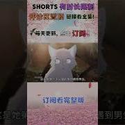 白猫少女