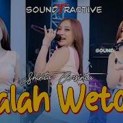 Shinta Arsinta Kalah Weton