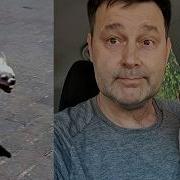 Мимо Нас