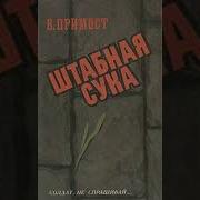 Валерий Примост Штабная Сука