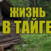Промысловая Охота В Сибири