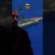 Прикол Пронесло
