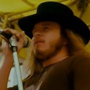 Lynyrd Skynyrd Free Bird Live