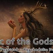Psychedelic Ambient Music Mix Psychill Psybient Psydub