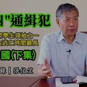 张伯笠逃亡者