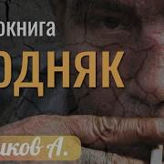 Аудиокниги Бушкова
