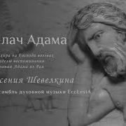 Плачъ Адама
