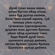 Мехр Окибатли Булайлик