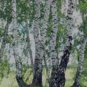 Светлане С Днем Рождения