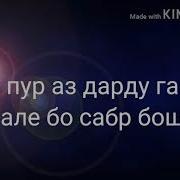 Нест Бе Ранч Рохати Дунё Эссе