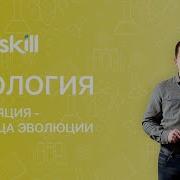 Эволюции Популяции