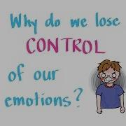 If You Lose