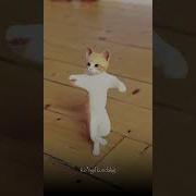 Xorazm Qoʻshiqlari 2023 Ckachat Bezplatna