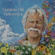 Tom Rush Gimmie Some