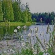Не Гадай Наташка На Ромашке Владимир Глазунов
