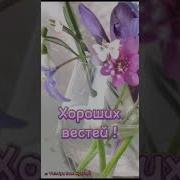 Я Тебе Сегодня Подарю Букет