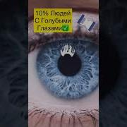 Какой Твой Любимый Цвет Глаз