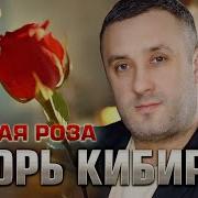 Чужая Роза И Кибиров