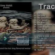 Limp Bizkit Full Album