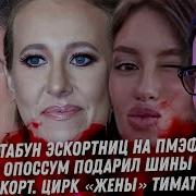 Или В Цирке