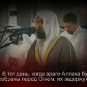Мишари Рашид Сура 41