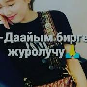 Суйуу Создору