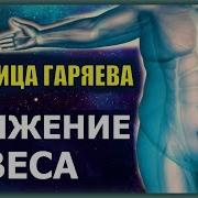 Матрица Горяева Снижение Веса