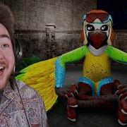 Mollie Macaw