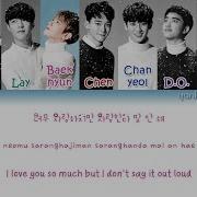 Exo Sing For You