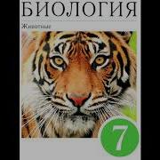 2 Современная Зоология Биология 7 Класс Латюшин Шапкин
