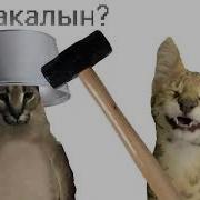 Башка Бадум Раскалында