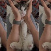 А У Меня Все Заибися