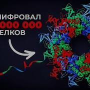 Ии И И Ии Ии И И