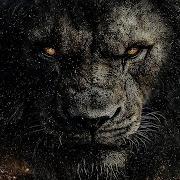 Unspiration Music Epic Orchestral Music Instrumental