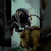 Amaksi