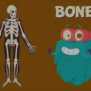 The Bone