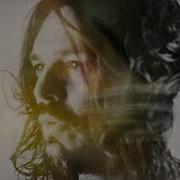 Bibio