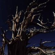 Я Раджаи Нашид