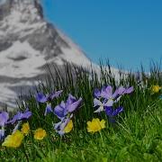 12 Hours Relaxing Sleep Music Meditation Music Stress Ref