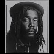 The Best Of Peter Tosh