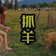 徐珺大哥