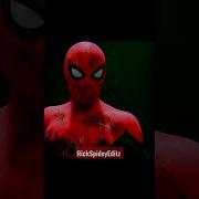 Copines Spider Man