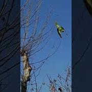Здоровье Аффирмации