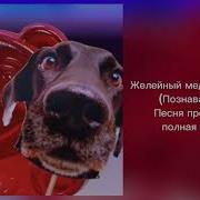 Песня Про Собаку Желейный Медведь Валера